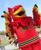 A red Gryphon mascot cheering with hands in the air